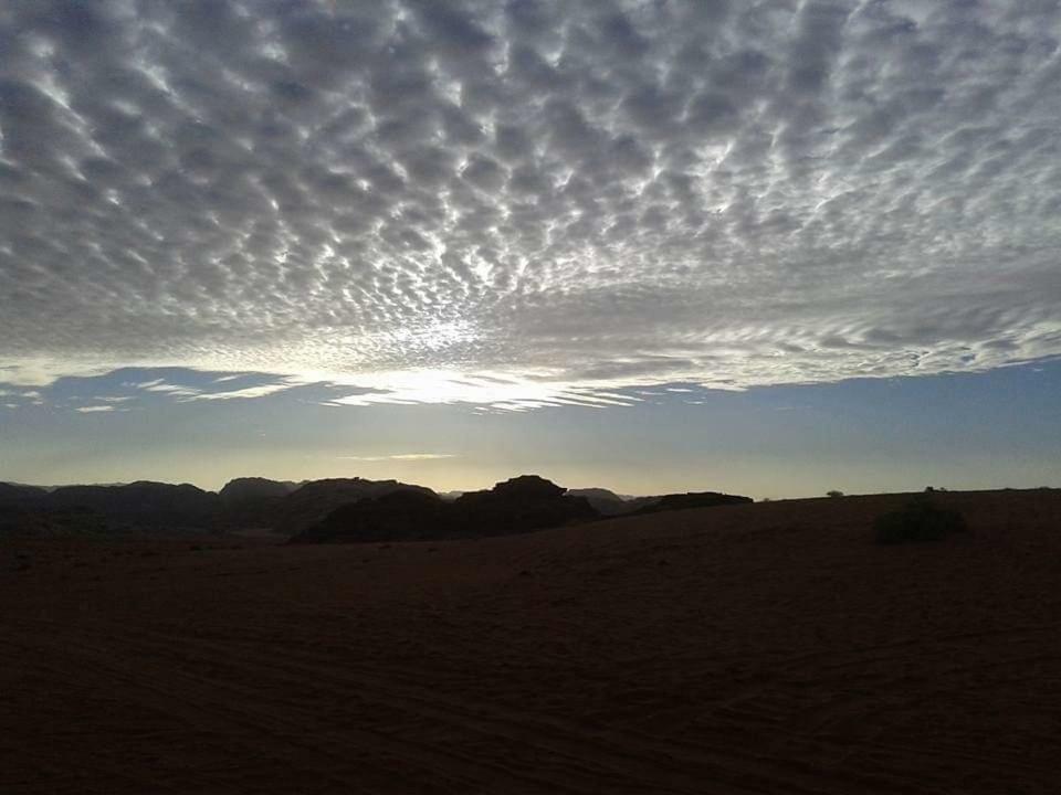 Wadi Rum Local Guide Camp Eksteriør billede